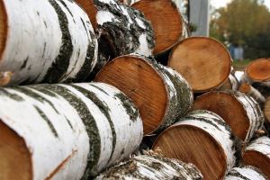 доставка дров в Томске